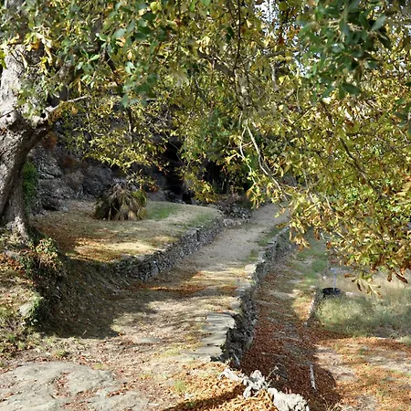 La Vie Naturelle-le Castandel Saint-Paul-la-Coste