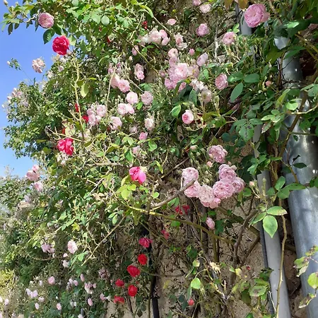 La Vie Naturelle-le Castandel Bed and breakfast